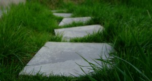 Moving forward